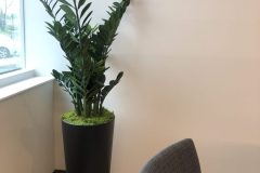 Artificial Plants
