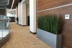 Artificial Plants
