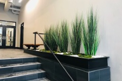 Artificial Plants
