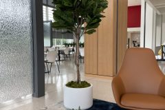 Artificial Plants