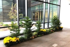 Atrium Planters