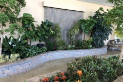 Atrium Planters