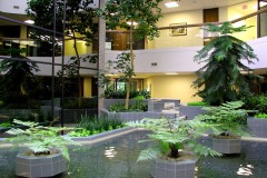 Atrium Planters