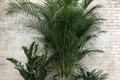 Plant-Grouping