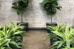 Plant-aisle