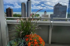 Exterior Plantings