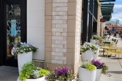 Exterior Plantings