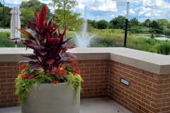 Exterior Plantings