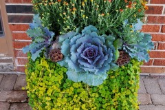 Exterior Plantings