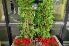 Exterior Plantings