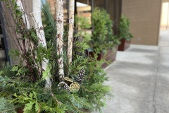Exterior Plantings