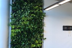 Living Walls