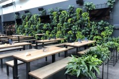 Living Walls