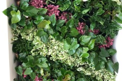 Living Walls