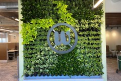 Living Walls