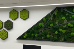 Moss Art