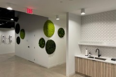 Moss Art