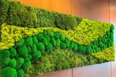 Moss Art