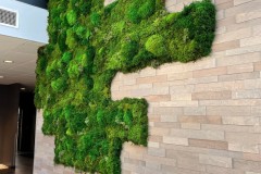 Moss-wall-2