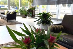 Office Spaces