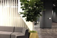 Office Spaces